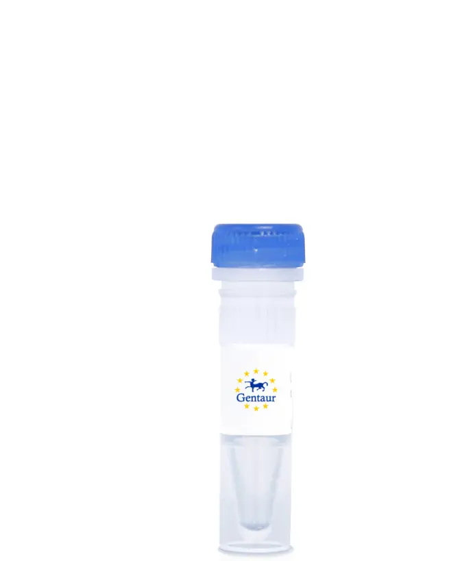 Anti-Cholera Toxin B Antibody