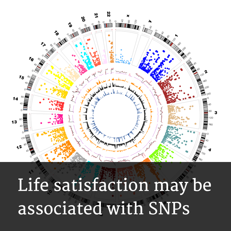 Plasmids and Transfection Vectrors